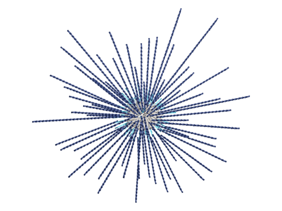 Sea Urchin Embroidery: A Designer's Practical Review